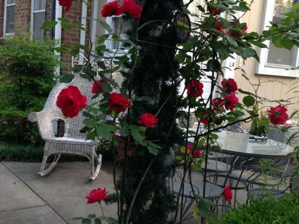Port City Guest House Wilmington Zewnętrze zdjęcie